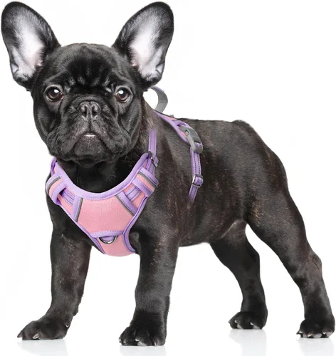 Miniatura 94 de BARKBAY Arnés para Perro Sin Tirones Talla Grande Arnés Reflectante para Perro con Clip Frontal y Asa de Control Fácil para Caminar Entrenar Correr