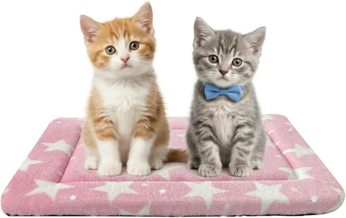Miniatura 27 de Alfombrilla para Cama de Perro – Almohadilla de Perrera Suave y Cómoda para Jaula – Cama y Almohadilla Duradera para Perros y Gatos – Ideal para Gris
