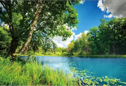 Telón de fondo de paisaje de parque de poliéster de 6 x 4 pies con río azul agua y árbol bosque jardín cielo azul picnic al aire libre primavera