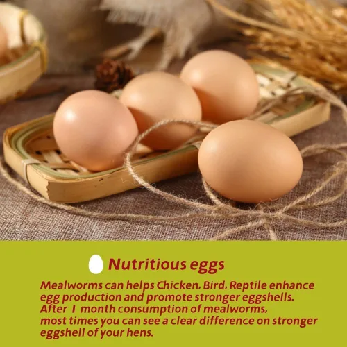 Miniatura 4 de SANSECT Gusanos de harina secos de 5 libras, gusanos de harina secos 100% naturales sin OMG para pollos, alimento para pollos con alto contenido