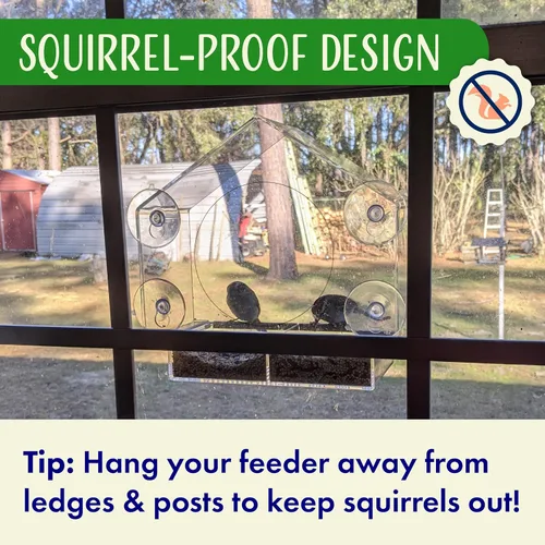 Miniatura 8 de Comederos de pájaros transparentes para ventanas con vista interior - Comedero de casa de pájaros con ventosas - Comedero de casa de pájaros
