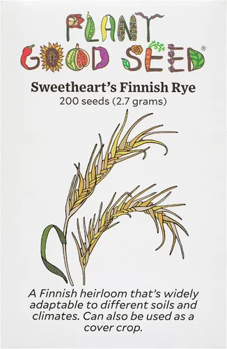 Miniatura 6 de Plant Good Seed Semillas orgánicas de trigo de primavera de águila negra, paquete de 175, semillas tradicionales para plantar granos, verduras