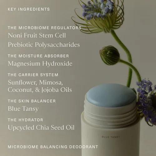 Miniatura 5 de Oak Essentials Desodorante equilibrante Microbiome Desodorante limpio sin aluminio con tanaceto azul para protección contra olores durante todo