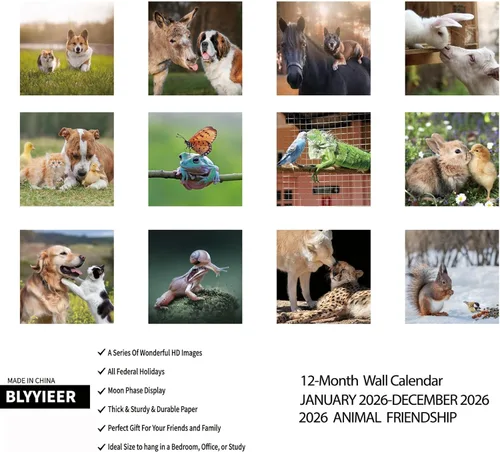 Miniatura 2 de Calendario de pared 2026, calendario 2026, calendario mensual de pared de amistad con animales, 12 x 24 pulgadas abierto, calendario planificador