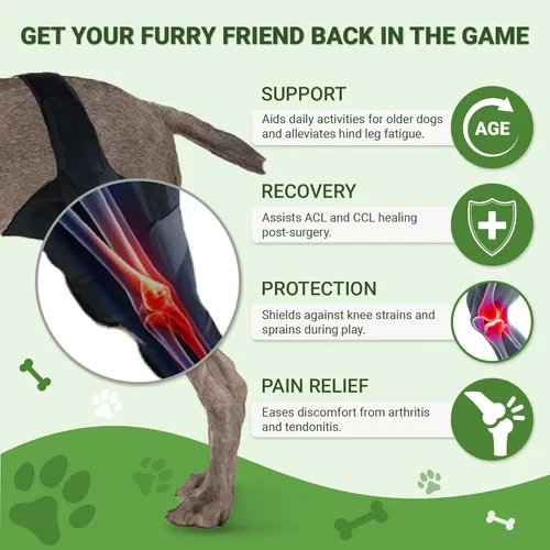 Miniatura 2 de Rodillera para perro para pierna trasera y trasera, soporte para perro ACL CCL Lesión del ligamento cruzado dolor articular y dolor muscular