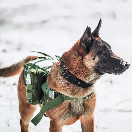 Miniatura 6 de Collar táctico para perro, collar militar ajustable con anillo en D de metal y hebilla, collar de entrenamiento de nailon resistente para perros