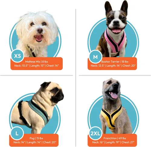 Miniatura 6 de Gooby Comfort X One Arnés para Perro - Arnés para perro que se pone por la cabeza para perros pequeños y medianos - Sin escape y sin ahogo - Malla