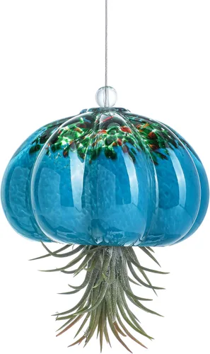 Miniatura 10 de H&D HYALINE & DORA Terrario de cristal soplado a mano colgante con diseño de medusa de aire para plantas de aire, decoración para jardín, porche