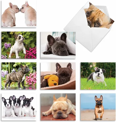 Miniatura 10 de The Best Card Company - 10 adorables tarjetas de perro en blanco (4 x 5.12 pulgadas) - Razas de mascotas surtidas, juego en caja - Adorables perros