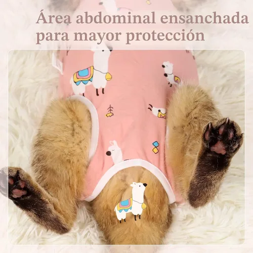Miniatura 3 de ANWA Traje de recuperación de gato, mameluco transpirable para gato después de la cirugía, traje de recuperación de cirugía de gatito, heridas Alpaca
