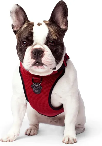 Miniatura 7 de Canada Pooch Arnés para perro Everything sin tirones, arnés fácil de caminar para perros con exterior de malla transpirable, arnés ajustable