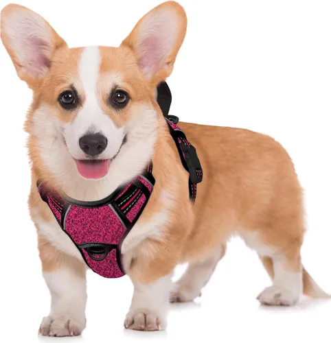 Miniatura 17 de BARKBAY Arnés para Perro Sin Tirones Talla Grande Arnés Reflectante para Perro con Clip Frontal y Asa de Control Fácil para Caminar Entrenar Correr
