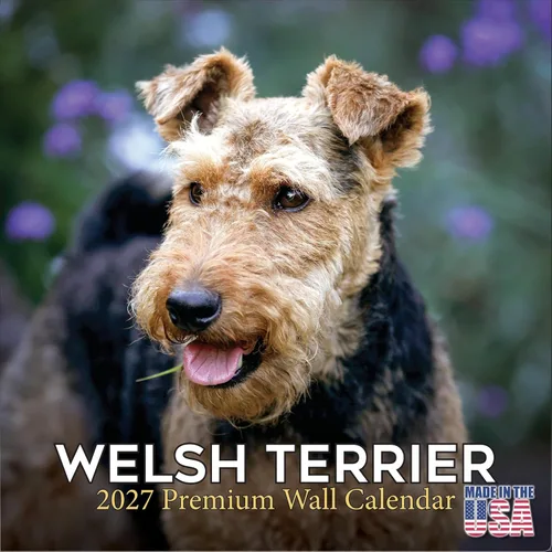 Miniatura 98 de Calendario amarillo 2025 2026 de Labrador Pups – Calendario mensual de pared de raza de perro – 12" x 24" abierto – Papel grueso anti-traspaso