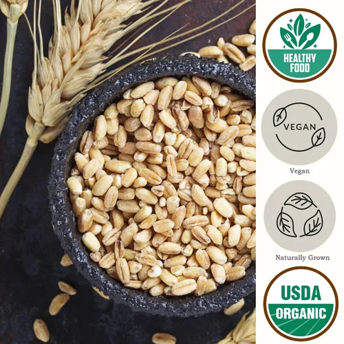 Miniatura 3 de Be Still Farms Farro Grain orgánico (4.8 libras) – Bayas de trigo integral Emmer a granel – Granos antiguos ideales para sopa, ensalada, harina