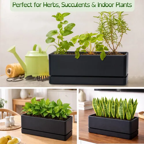 Miniatura 5 de D'vine Dev - Maceta para ventana de 12 pulgadas, maceta rectangular de plástico para hierbas con agujeros de drenaje y plato, maceta de suculentas