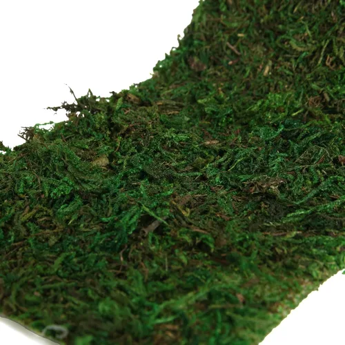 Miniatura 3 de USMOLA Rollo de musgo, musgo seco para manualidades, camino de mesa de musgo para jardines de hadas, decoración de bosque de boda, tapete de musgo 4