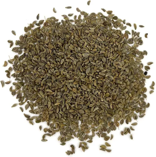 Miniatura 3 de The Old Farmer's Almanac Semillas de perejil Heirloom (hoja plana italiana verde oscuro) – Aproximadamente 1500 semillas – Sin OMG, polinizado