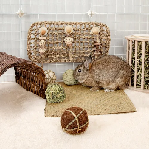Miniatura 8 de andwe Pelotas de juego de animales pequeños, juguetes masticables rodantes y golosinas para conejillos de indias, chinchilla, conejito degus, jaula