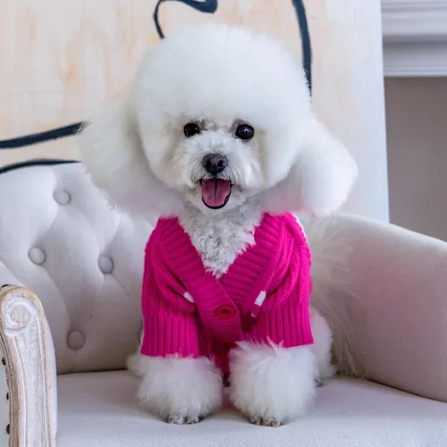 Miniatura 4 de CuteBone - Suéter de punto a rayas para perros, ropa de invierno de punto rosa para perros pequeños, gatos, niño, niña, atuendo para mascotas
