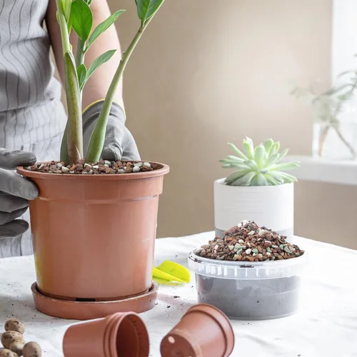 Miniatura 6 de Mezcla de suelo para bonsái de 2 cuartos, lava, corteza, roca volcánica, zeolita verde y perlita, mezcla orgánica natural para plantas en maceta