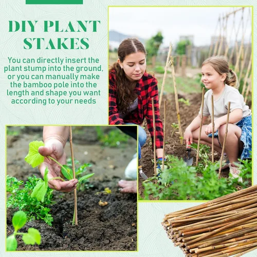 Miniatura 5 de Suclain Juego de 100 estacas de bambú para plantas trepadoras, estacas de bambú resistentes para plantas trepadoras, tomates, frijoles, flores