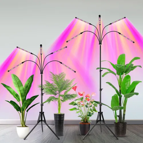 Miniatura 8 de Garpsen Luz de crecimiento con soporte, luces de cultivo de 5 cabezas para plantas de interior, luz de planta LED de 100 diodos de espectro completo