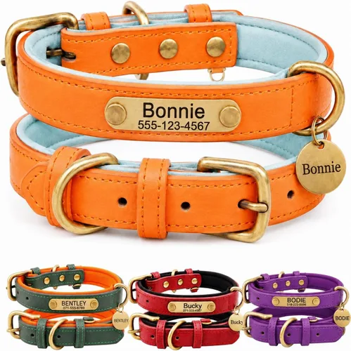 Miniatura 16 de Collar de cuero para perro personalizado y juego de correa, personalizado con diseño acolchado suave y resistente con placa de nombre grabada
