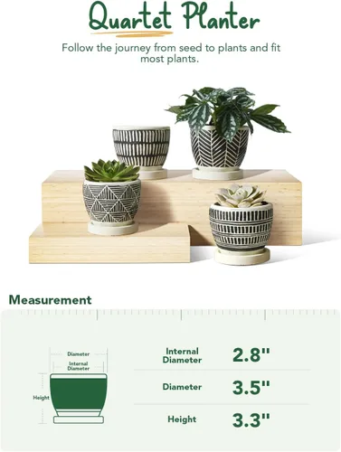 Miniatura 4 de LE TAUCI Macetas bohemias para suculentas de 3 pulgadas, macetas pequeñas artesanales para suculentas, macetas pequeñas de cemento para plantas
