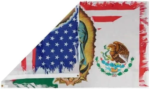 Miniatura 2 de Flakita's Novelties - Bandera de nailon 68D con ojales, 3 x 5 pies, Virgen María, México, Virgen, María, Nuestra Señora de Guadalupe