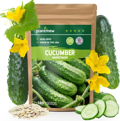 Miniatura 7 de Semillas de Calabacín para Plantar - 45 Semillas de Calabaza de Verano Black Beauty - Sin OGM, Paquete de Semillas de Vegetales Reliquia para Jardín