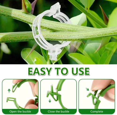 Miniatura 4 de FXOICMI Clips de soporte para plantas, clips de fijación de jardín de plástico para plantas trepadoras, vides de tomate y uva, clips de jardín