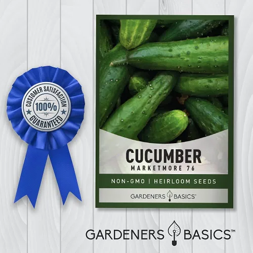 Miniatura 7 de Gardeners Basics, Marketmore 76 - Semillas de pepino para plantar - Cucumis sativus Heirloom, variedad de vegetales sin OMG, semillas de 0.04 oz