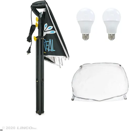 Miniatura 2 de LINCO Lincostore AM270 - Kit de iluminación de estudio para fotografía fotográfica continua, 16 x 16 pulgadas, con 2 bombillas de retrato