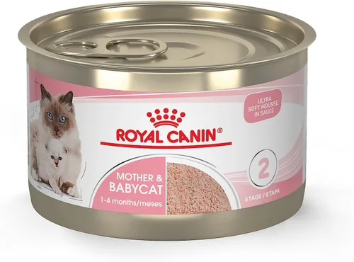 Miniatura 11 de Royal Canin Feline Health Nutrition Mother & Babycat Queen - Mousse en salsa ultra suave para gatos, 3 onzas (paquete de 6)