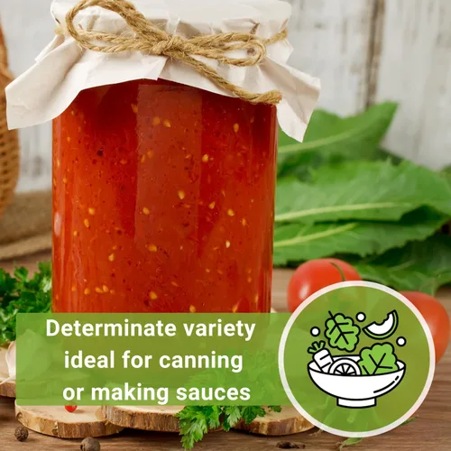 Miniatura 6 de Sow Right Seeds - Semillas de tomate Marglobe para plantar - Paquete de reliquia sin OMG con instrucciones para plantar y cultivar un huerto casero