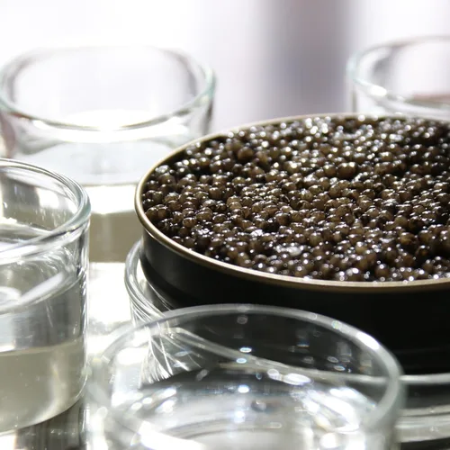 Miniatura 2 de Caviar Star Lujoso caviar siberiano polaco – Huevas de esturión real de primera calidad – Delicia gourmet exquisita cosechada de forma sostenible