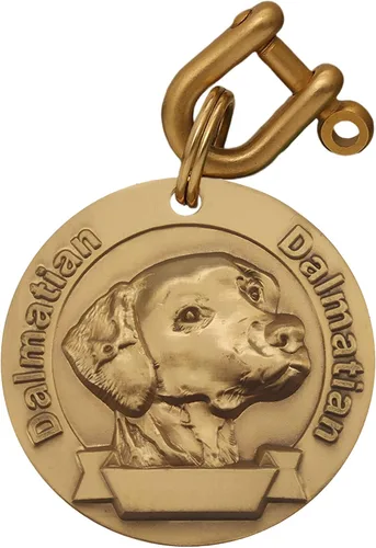 Miniatura 17 de Etiquetas de identificación para mascotas de cobre puro, etiquetas de nombre de perro personalizadas en relieve 3D con letras personalizadas