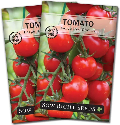 Miniatura 7 de Sow Right Seeds - Semillas grandes de tomate cereza roja para plantar - Paquete de reliquia sin OMG con instrucciones para plantar un huerto casero