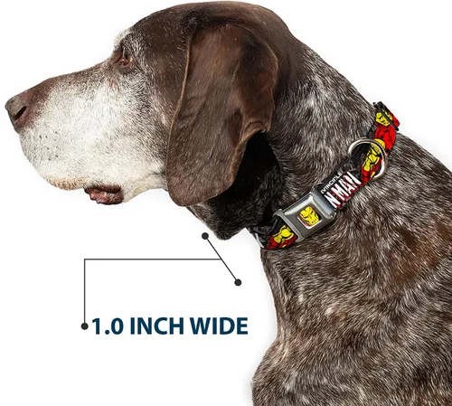 Miniatura 6 de buckle-down 9 – 15" "ima-iron Hombre Face Rojo/Amarillo" Perro Collar