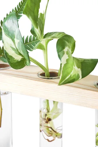 Miniatura 4 de Mkono Terrario para colgar en la pared de 3 niveles con soporte de madera, maceta de vidrio para corte de plantas hidropónicas, decoración de Beige