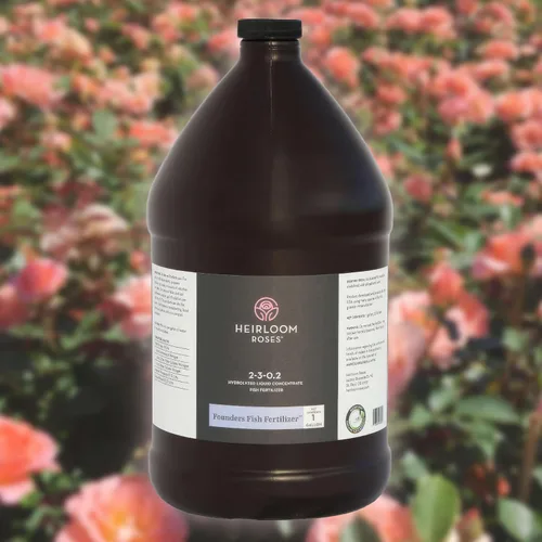 Heirloom Roses Founder's Fertilizante para peces, alimento vegetal para plantas, fertilizante líquido orgánico de emulsión, fertilizantes de jardín
