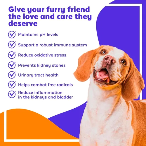Miniatura 2 de Jack & Milo - Suplemento para perros, incontinencia urinaria del perro, control de riñón y vejiga - Arándano y antioxidantes, orgánico - Control