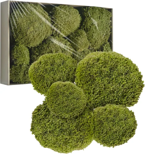 Miniatura 12 de TurelinnG Decoración de musgo preservado, musgo de bosque real, musgo para manualidades, flexible para manualidades, hogar, pared, terrario