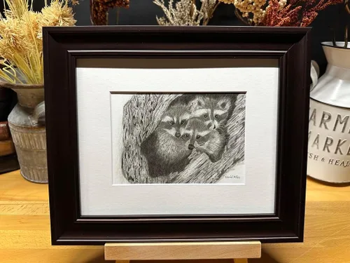 Raccoons Nature Wildlife Graphite Pencil Art Sketch Drawing Print Picture Limited Edition ~ Titled 'Hideout Til Lights Out' by David Allen (11x14
