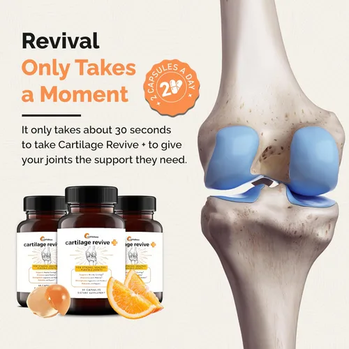 Miniatura 6 de UpWellness Cartilage Revive + Suplemento de apoyo articular para hombres y mujeres con colágeno tipo II para articulaciones – Sulfato