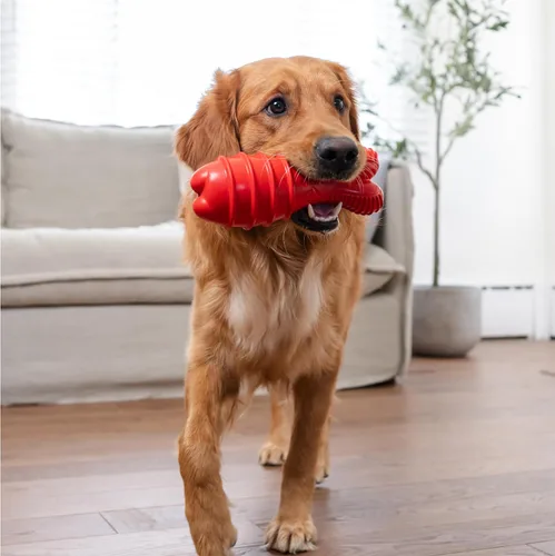 Miniatura 7 de Outward Hound Grunt Fetch Stick - Juguete para perro, conejito, rojo