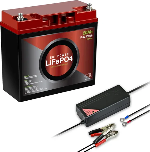 Paquete de batería y cargador - Cargador de 12 V 5 A/batería de litio de 12 V 20 Ah LiFePO4