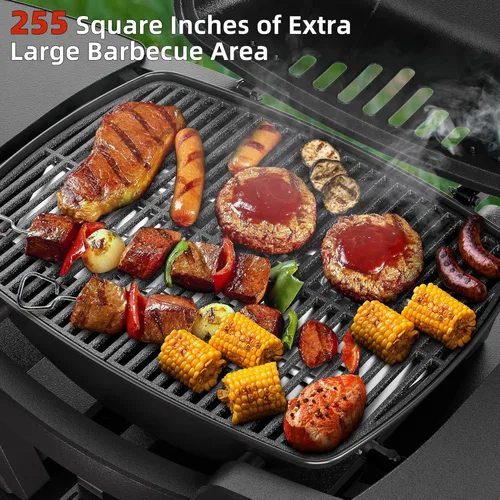 Miniatura 2 de Parrilla de gas portátil, parrilla de propano portátil, parrilla de gas propano, 24,000 BTU para exteriores, pequeña parrilla de barbacoa con dos