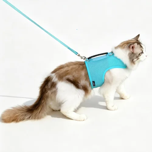 Miniatura 18 de Arnés de gato con correa, ajustable para gatos, chaleco acolchado para gatos, Black Plaid