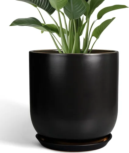 Miniatura 35 de Maceta de Cerámica para Plantas de Interior de 5 Pulgadas - Maceta Redonda para Plantas Suculentas con Agujero de Drenaje y Platillo, Decoración